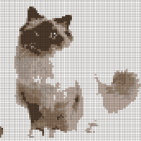 045ADA34-D725-46B2-B492-C7184D3C0C40.jpeg