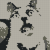 IMG_4885.jpeg