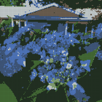 Copy of Blue Hydrangea.jpg