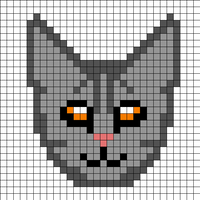 gray tabby