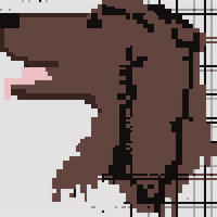 Copy of irish setter.png