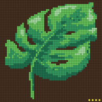 monstera
