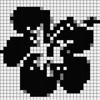 hibiscus .png