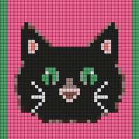 cat.jpeg