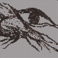 Eye-Kraken