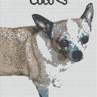 IMG_2584.png