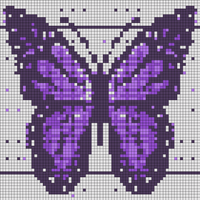 butterfly.jpeg