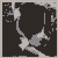 20230318_185917-COLLAGE.jpg
