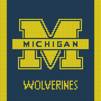 Michigan Wolverines.jpg