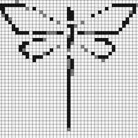 IMG_2066.jpeg