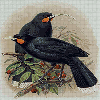 IMG_3711.jpeg