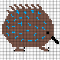 Copy of Echidna