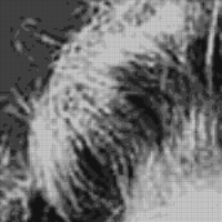 4d03807a853196a8a1c462177431ec09-Katharine-Hepburn.jpg
