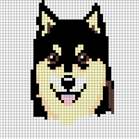 Koira