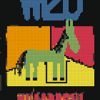 wizo.jpg