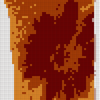 sunflower.jpg