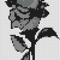 Black-Rose