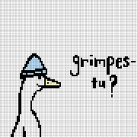 Grimpes-tu ?