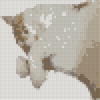 IMG_6624.png