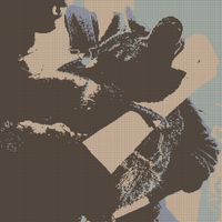 IMG_7570.jpeg