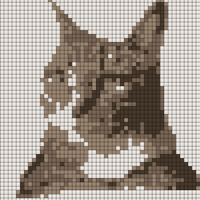 toast 1.png
