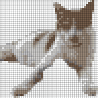 IMG_7092.png