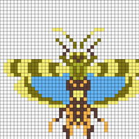 Insects