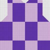 Check vest