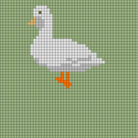 Copy of canard-mignon-blanc-canard-cane-de-race-vente-elevage.jpg