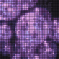 00bfbac1a3e5d6af0c6d97fc07ca6b8d.jpg