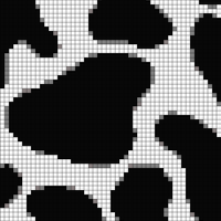 Cow Print Phone Wallpaper🐮.jpg
