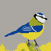 Copy of blue-tit-4.webp