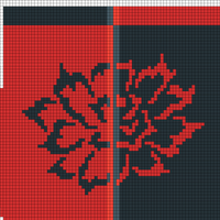 Carnation dos