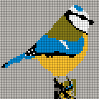 Copy of blue-tit-4.webp