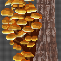 Copy of mushroom pattern.jpg