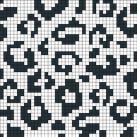 Copy of Leopard