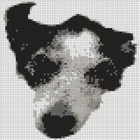 Clipped_image_20230626_191152.png