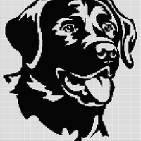 hundbild.jpg