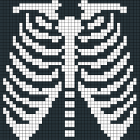 Copy of rib cage