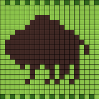 Copy of Bison
