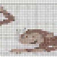 Five Little Monkeys.jpeg