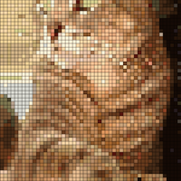 Copy of 1.png