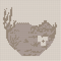 appaloosa bones.jpeg