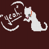 cat.jfif
