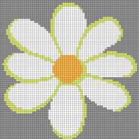 Pachymama daisy