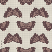 butterfly.jpg