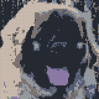 60341668_10156354543518325_6697107556503912448_o.jpg