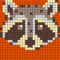 Raccoon 