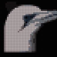 1697814082872634944648359557872.jpg