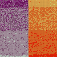 IMG_0172.jpeg